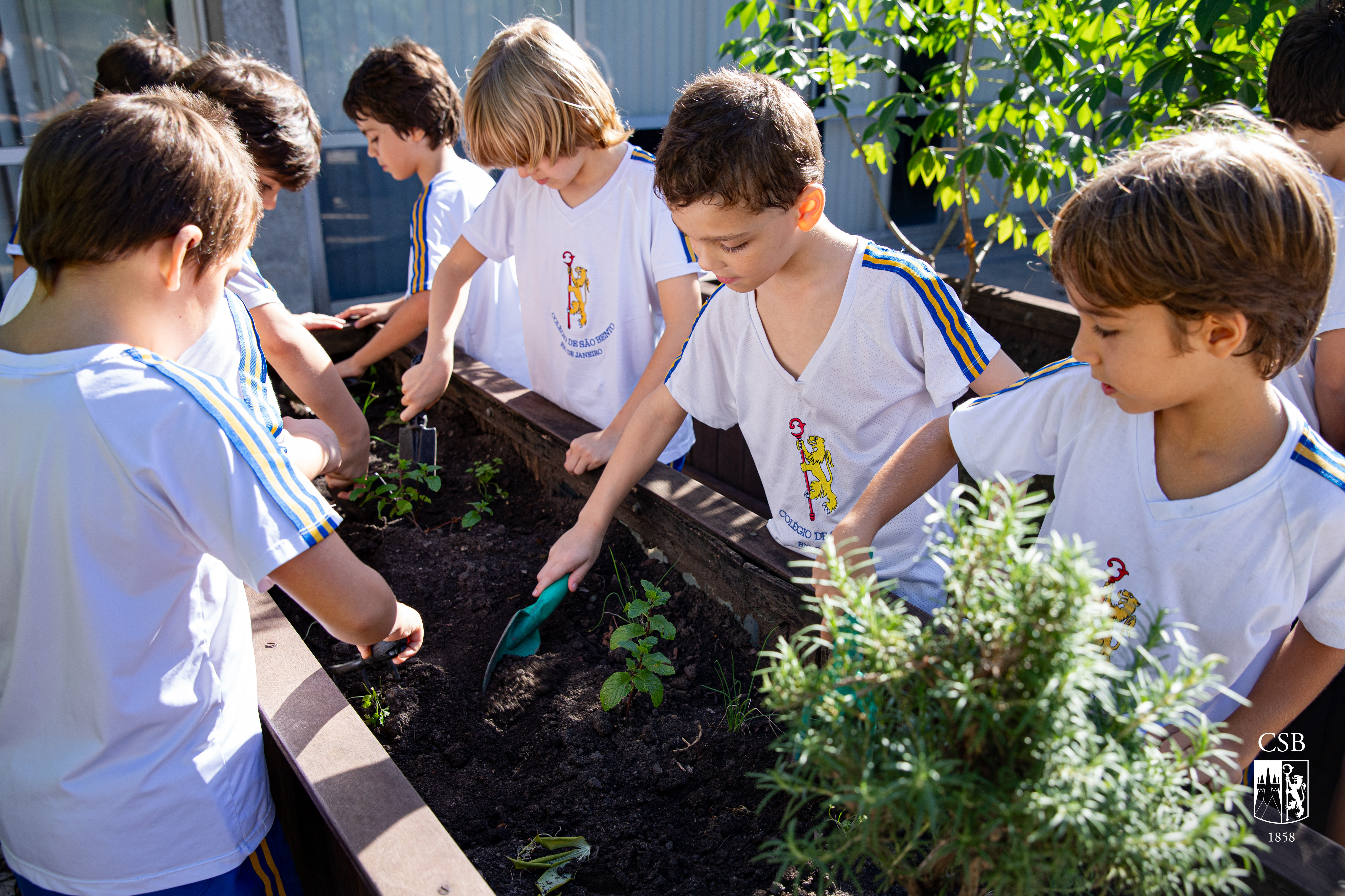 Em aula de Educação Ambiental, 2º ano visita horta